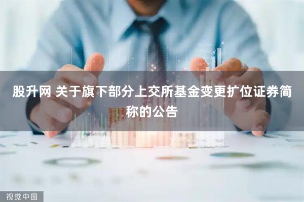 股升网 关于旗下部分上交所基金变更扩位证券简称的公告