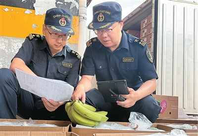 金勺子 这个夏天，进口水果更亲民了