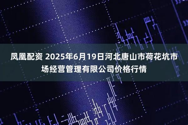 凤凰配资 2025年6月19日河北唐山市荷花坑市场经营管理有限公司价格行情