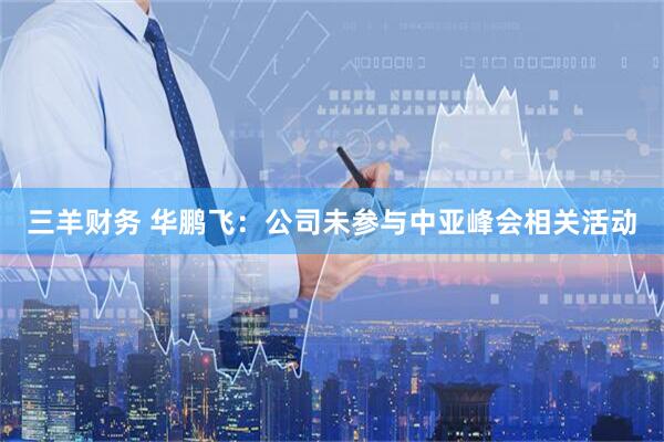 三羊财务 华鹏飞：公司未参与中亚峰会相关活动