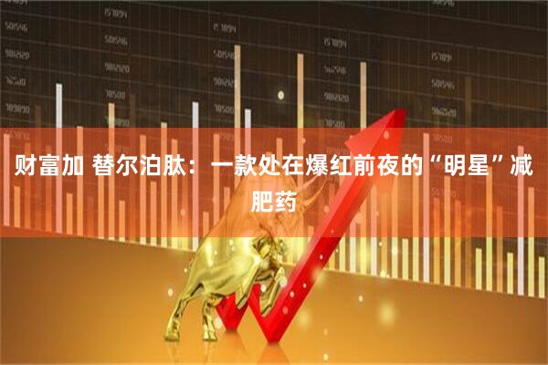 财富加 替尔泊肽：一款处在爆红前夜的“明星”减肥药